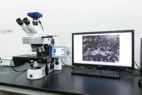 永鋼 硬核實(shí)力的背后——獲江蘇省省長(zhǎng)質(zhì)量獎(jiǎng)的汽輪機(jī)研發(fā)與銷(xiāo)售之道